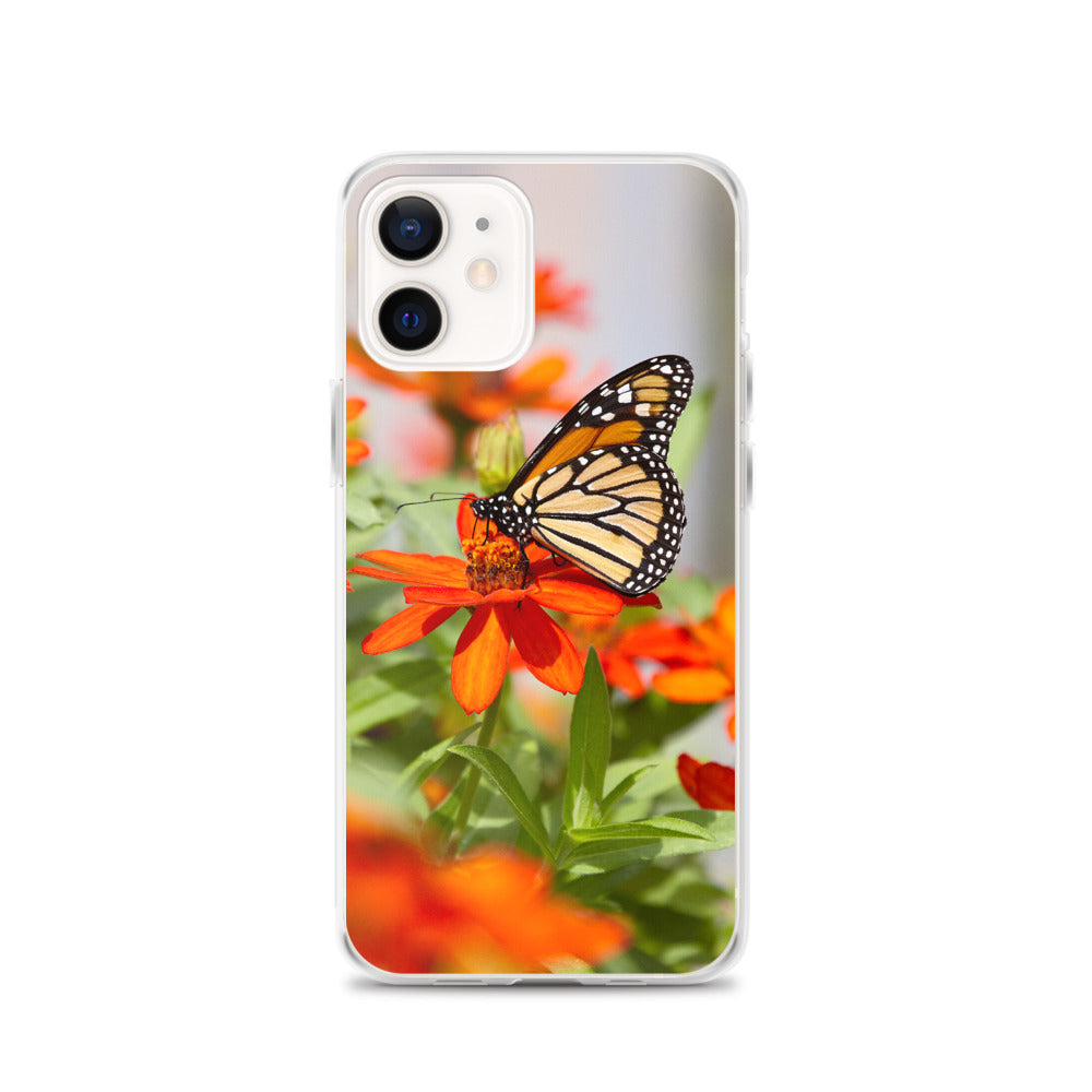 Monarch on Zinnia iPhone Case