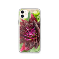 Black Dahlia iPhone Case