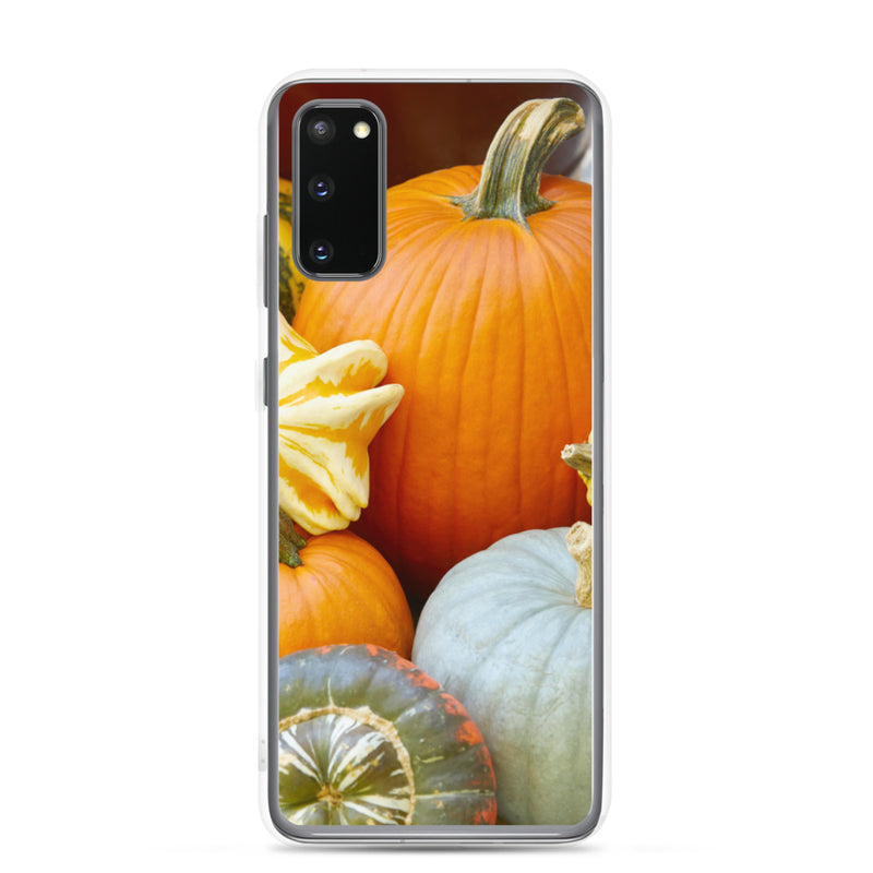 Pumpkin Patch Samsung Case
