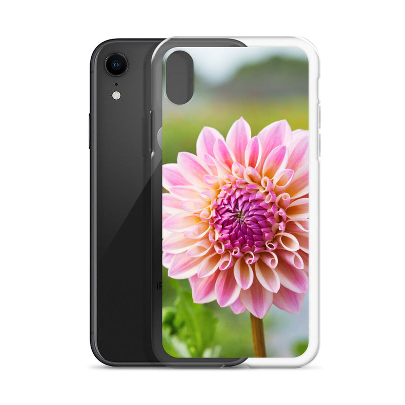 Pink Dahlia iPhone Case