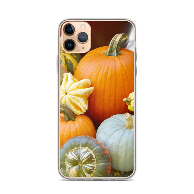Pumpkin Patch iPhone Case