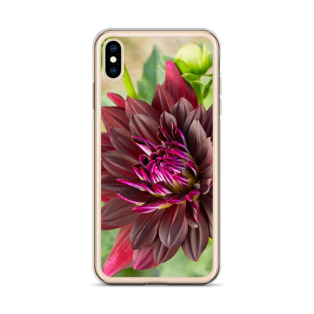 Black Dahlia iPhone Case