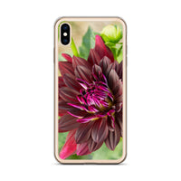 Black Dahlia iPhone Case