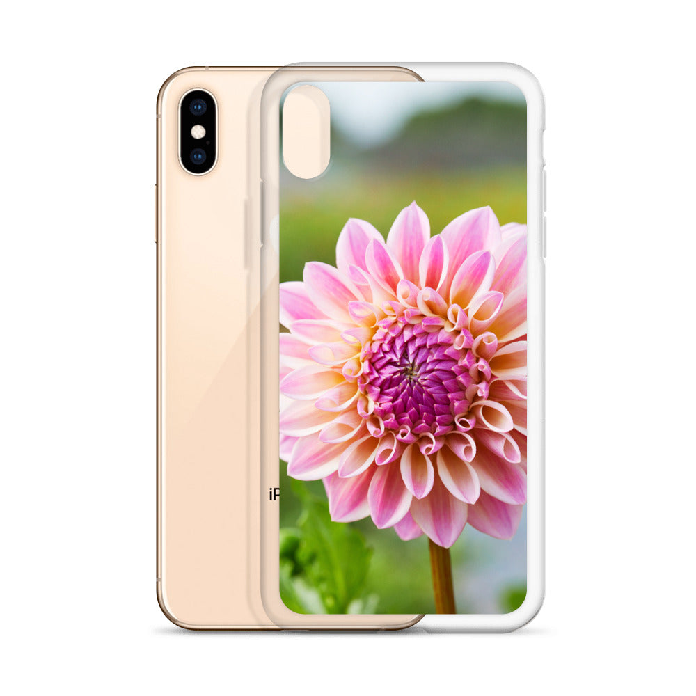 Pink Dahlia iPhone Case