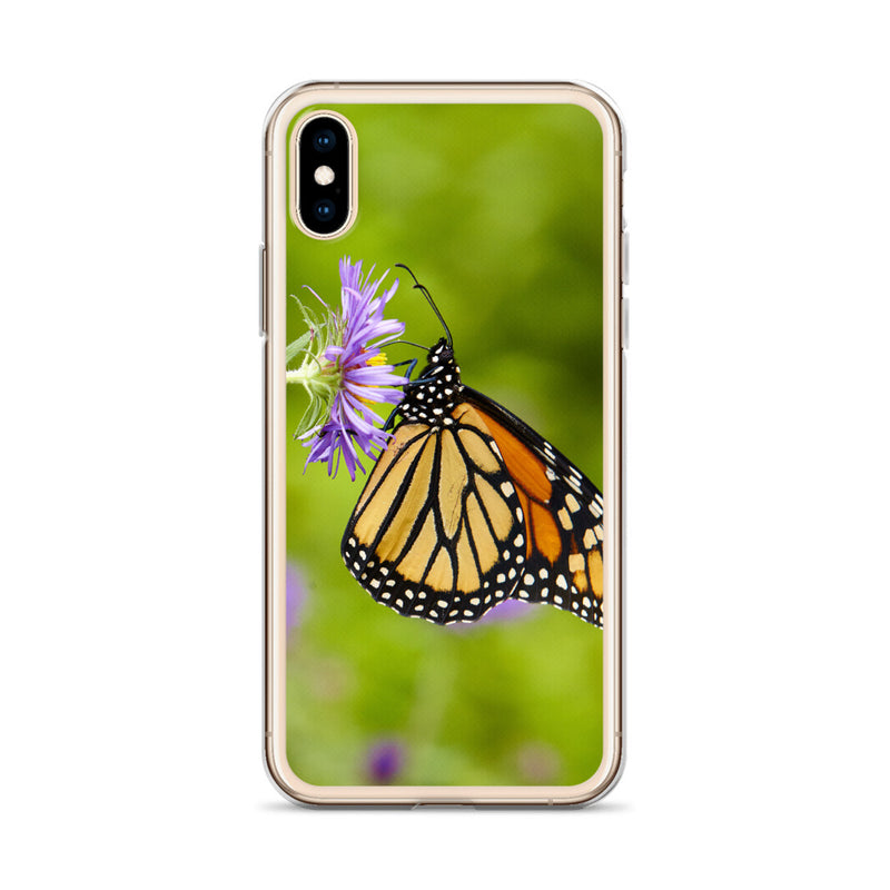 Monarch on Aster iPhone Case