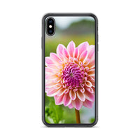 Pink Dahlia iPhone Case