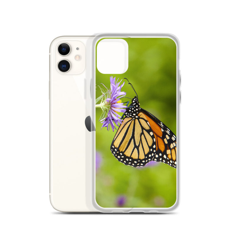 Monarch on Aster iPhone Case