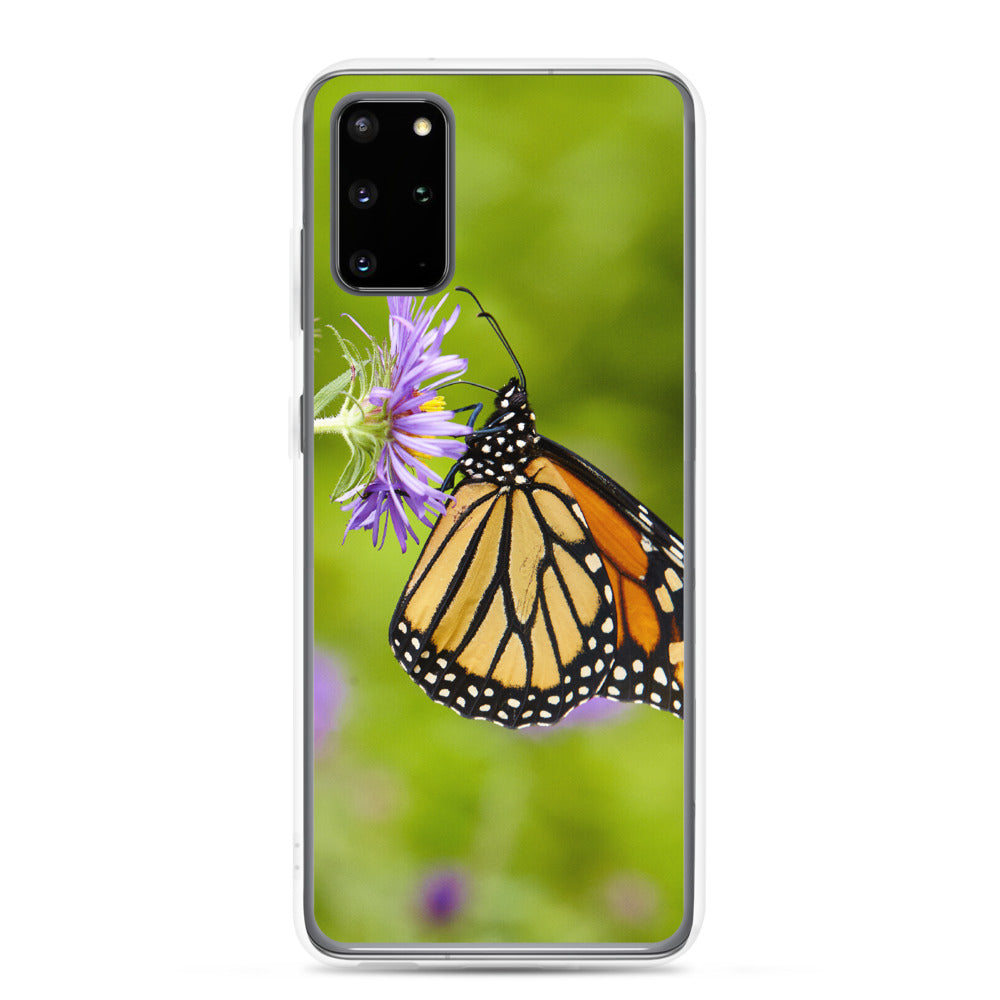 Monarch on Aster Samsung Case