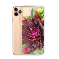 Black Dahlia iPhone Case