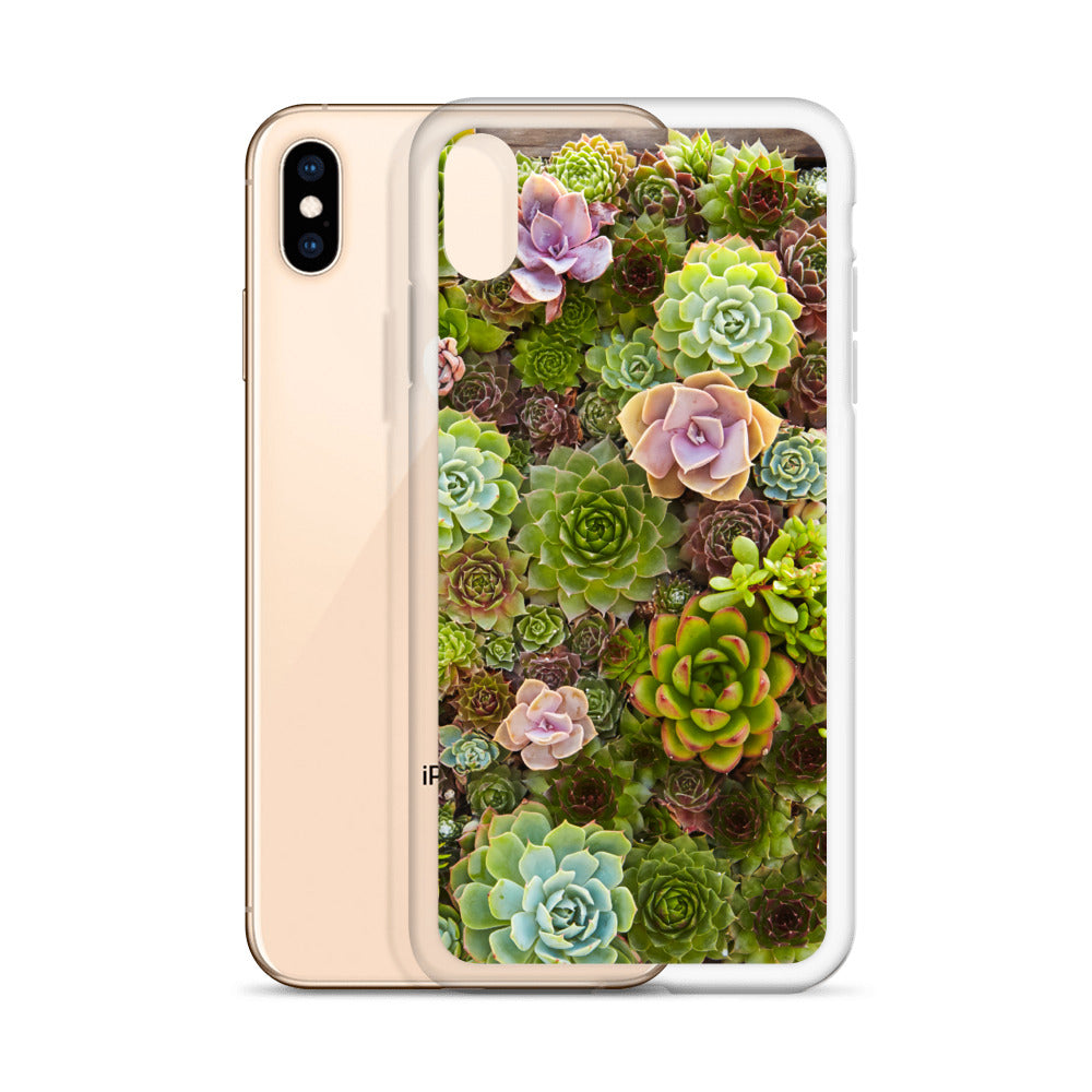 Succulent iPhone Case