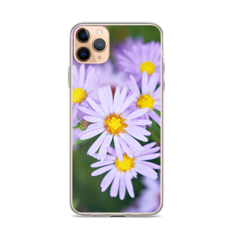 Fall Aster iPhone Case