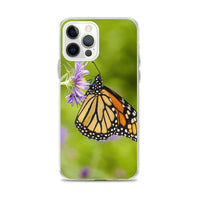 Monarch on Aster iPhone Case
