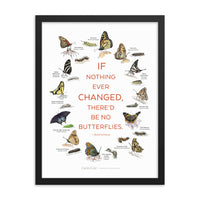Butterflies — Illustrated Print (Framed)