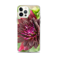 Black Dahlia iPhone Case