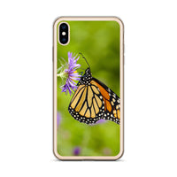 Monarch on Aster iPhone Case
