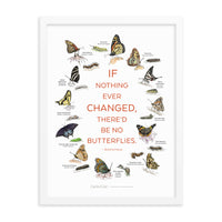 Butterflies — Illustrated Print (Framed)