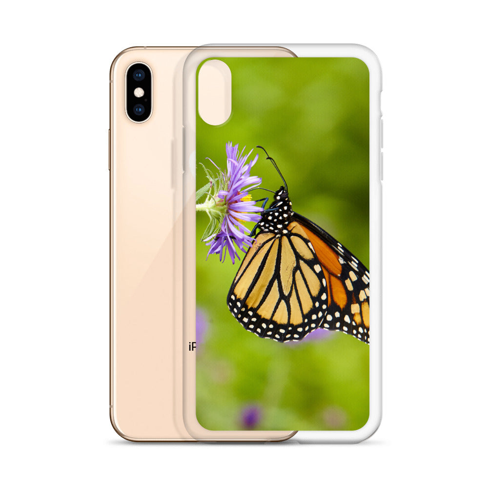 Monarch on Aster iPhone Case