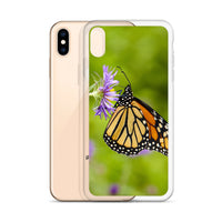 Monarch on Aster iPhone Case
