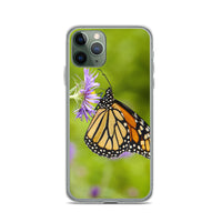 Monarch on Aster iPhone Case