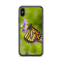 Monarch on Aster iPhone Case