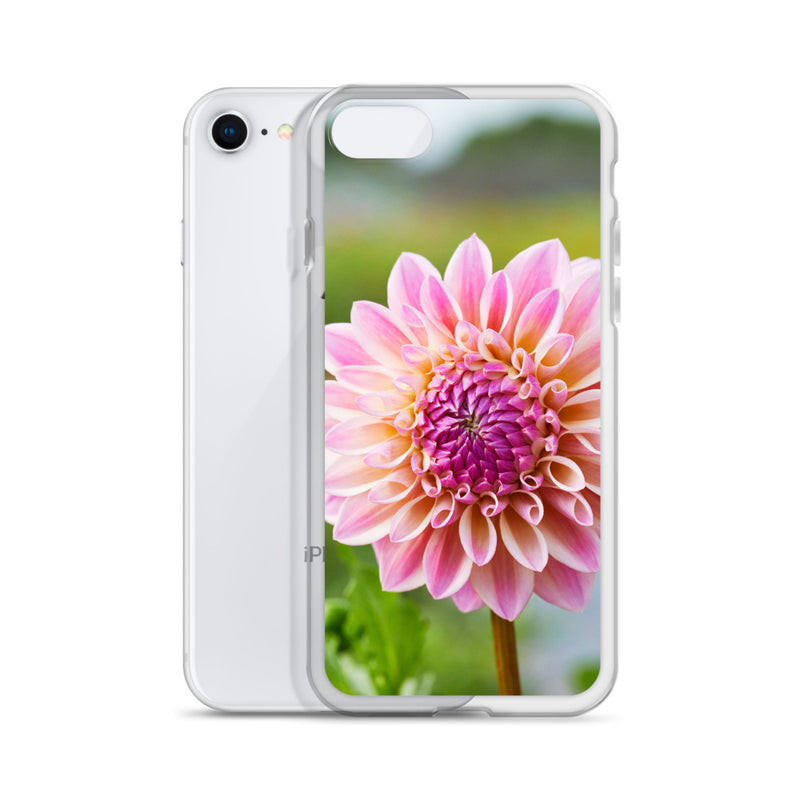 Pink Dahlia iPhone Case