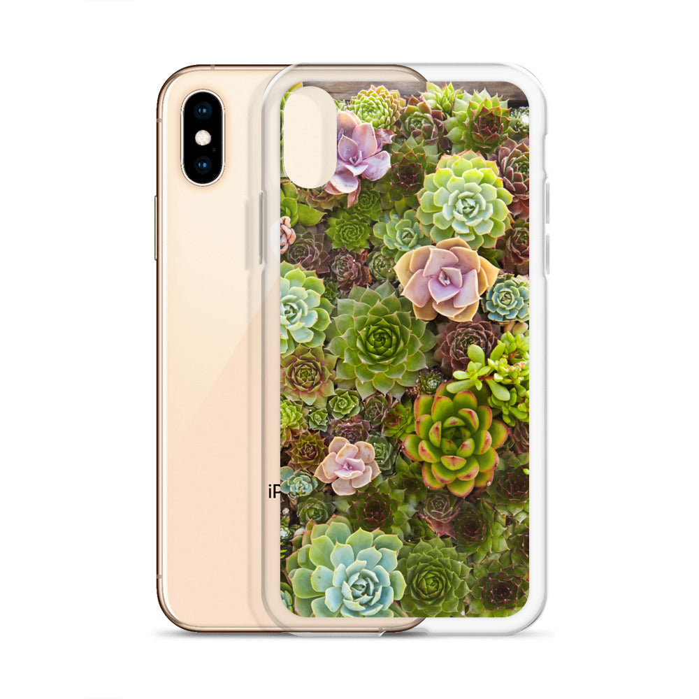 Succulent iPhone Case