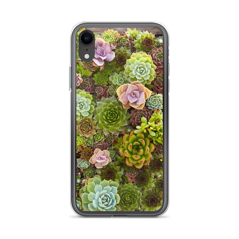 Succulent iPhone Case