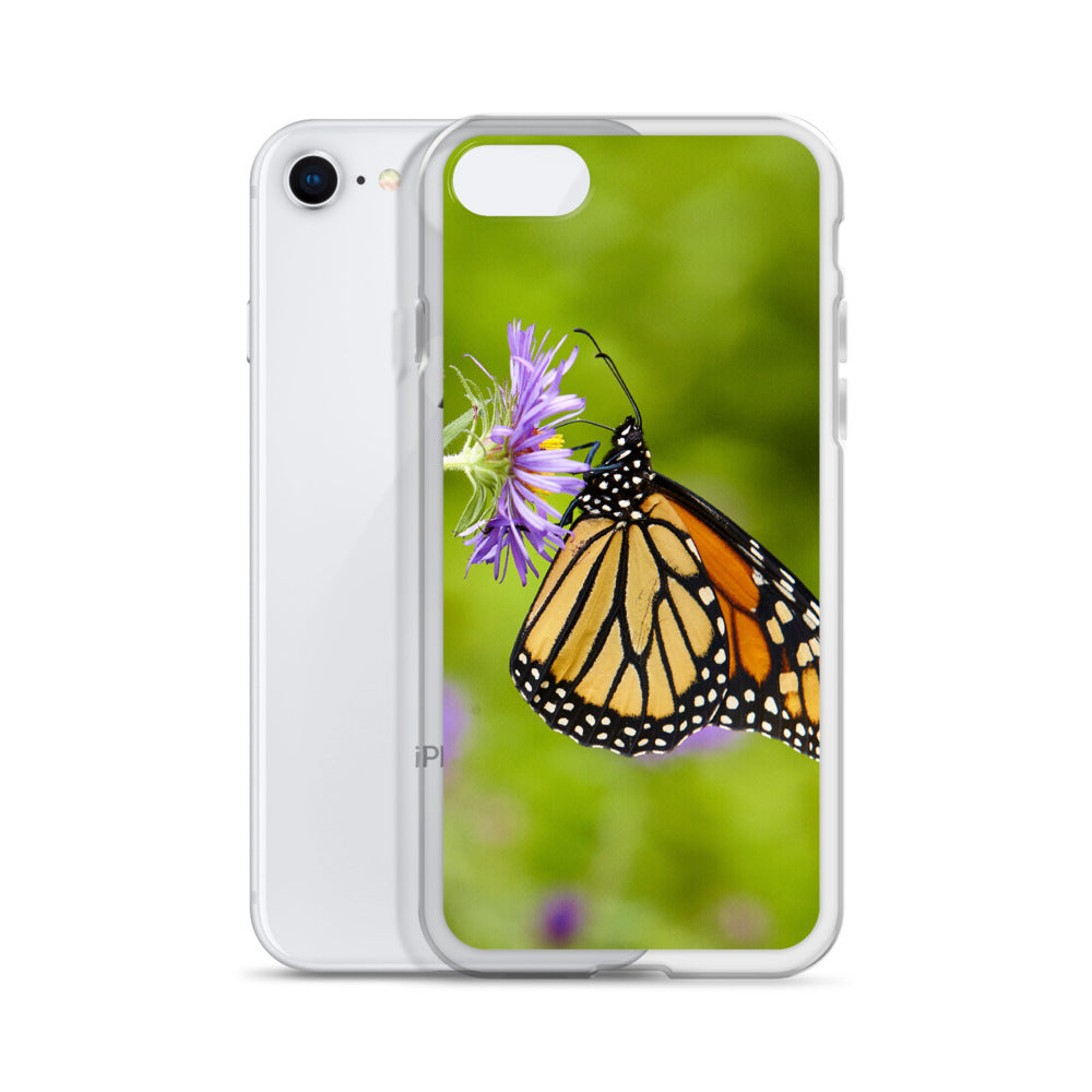 Monarch on Aster iPhone Case