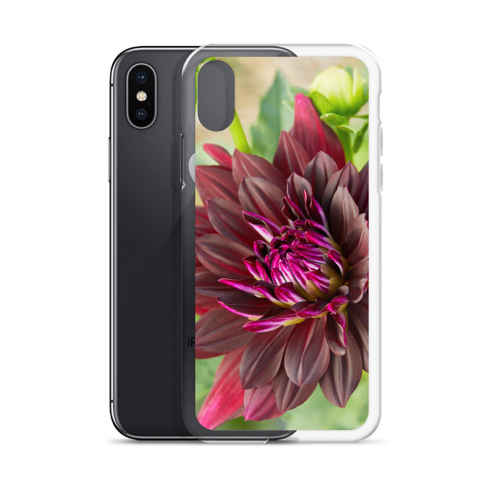 Black Dahlia iPhone Case
