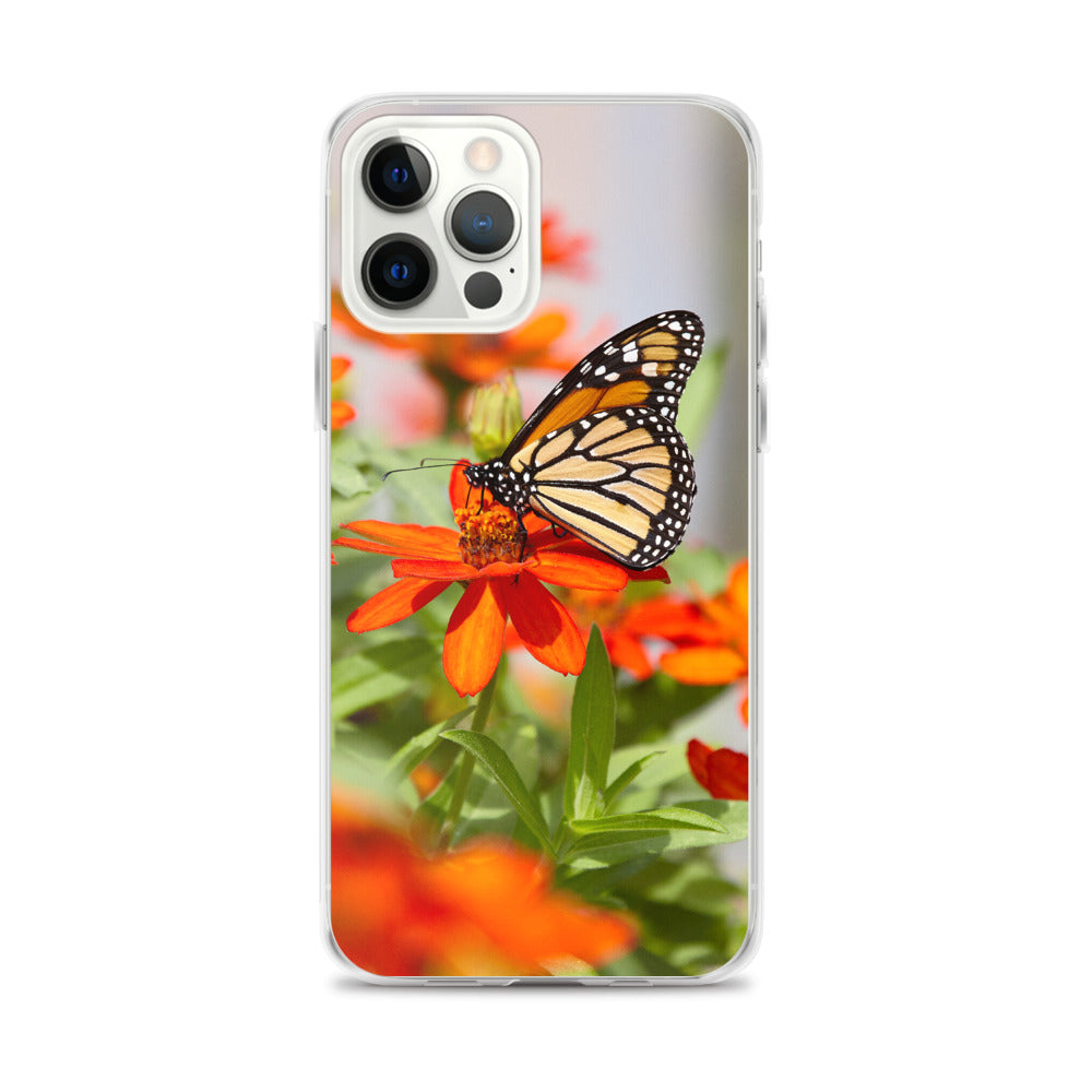 Monarch on Zinnia iPhone Case