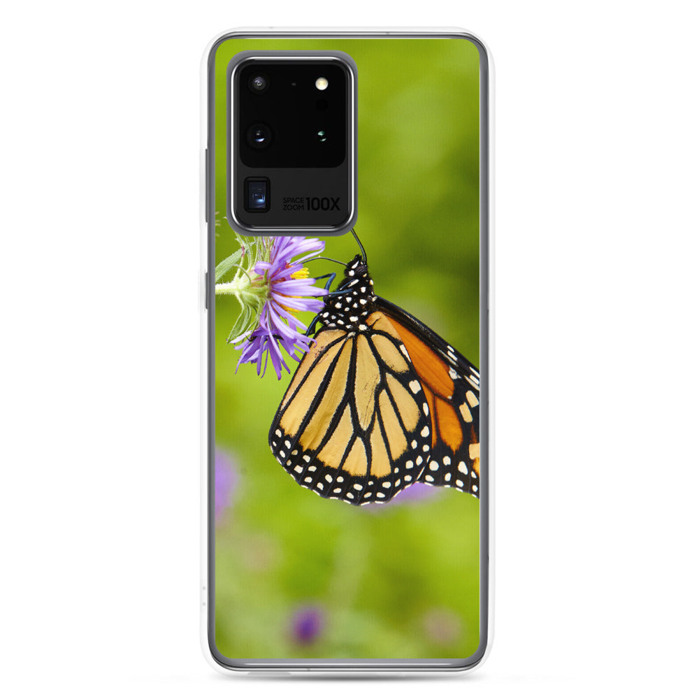 Monarch on Aster Samsung Case