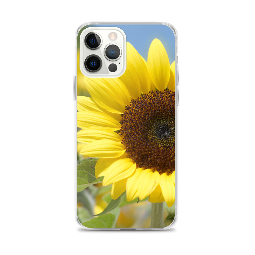 Sunflower iPhone Case