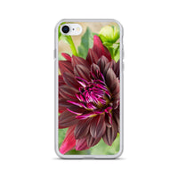Black Dahlia iPhone Case