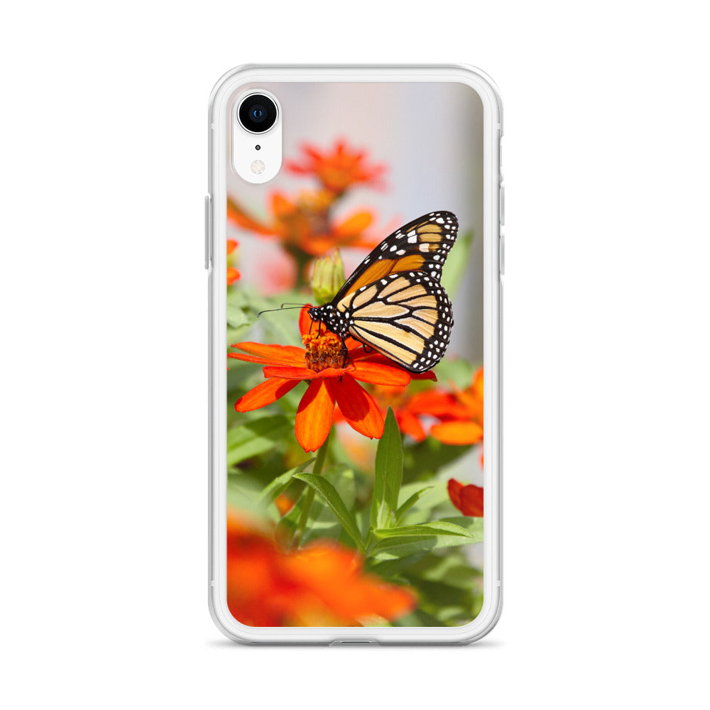 Monarch on Zinnia iPhone Case
