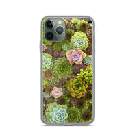 Succulent iPhone Case