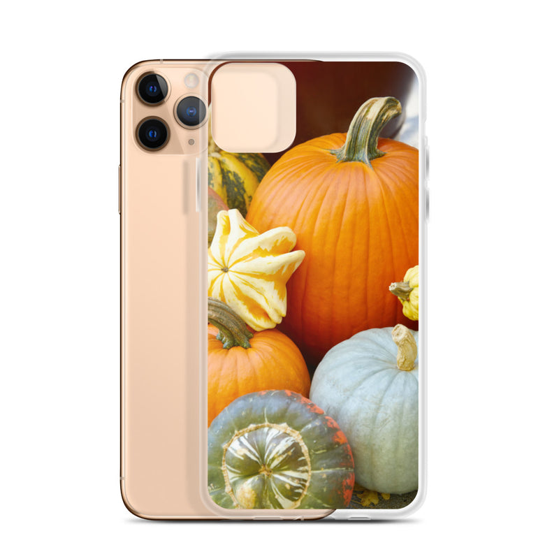Pumpkin Patch iPhone Case