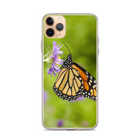 Monarch on Aster iPhone Case