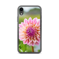 Pink Dahlia iPhone Case