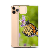 Monarch on Aster iPhone Case