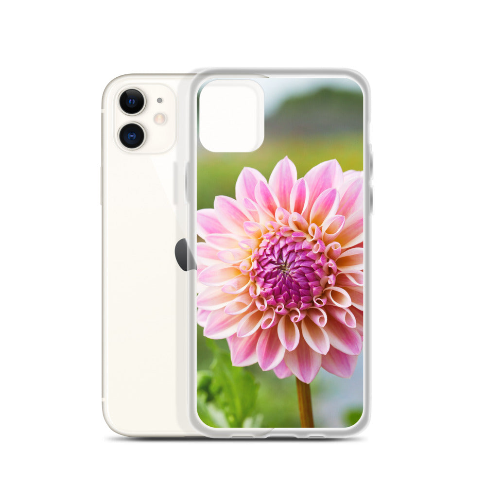 Pink Dahlia iPhone Case