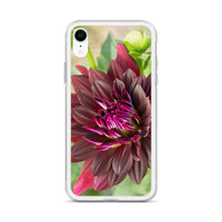 Black Dahlia iPhone Case