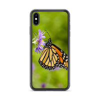 Monarch on Aster iPhone Case