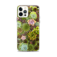 Succulent iPhone Case