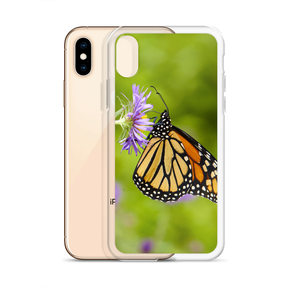 Monarch on Aster iPhone Case