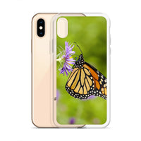 Monarch on Aster iPhone Case