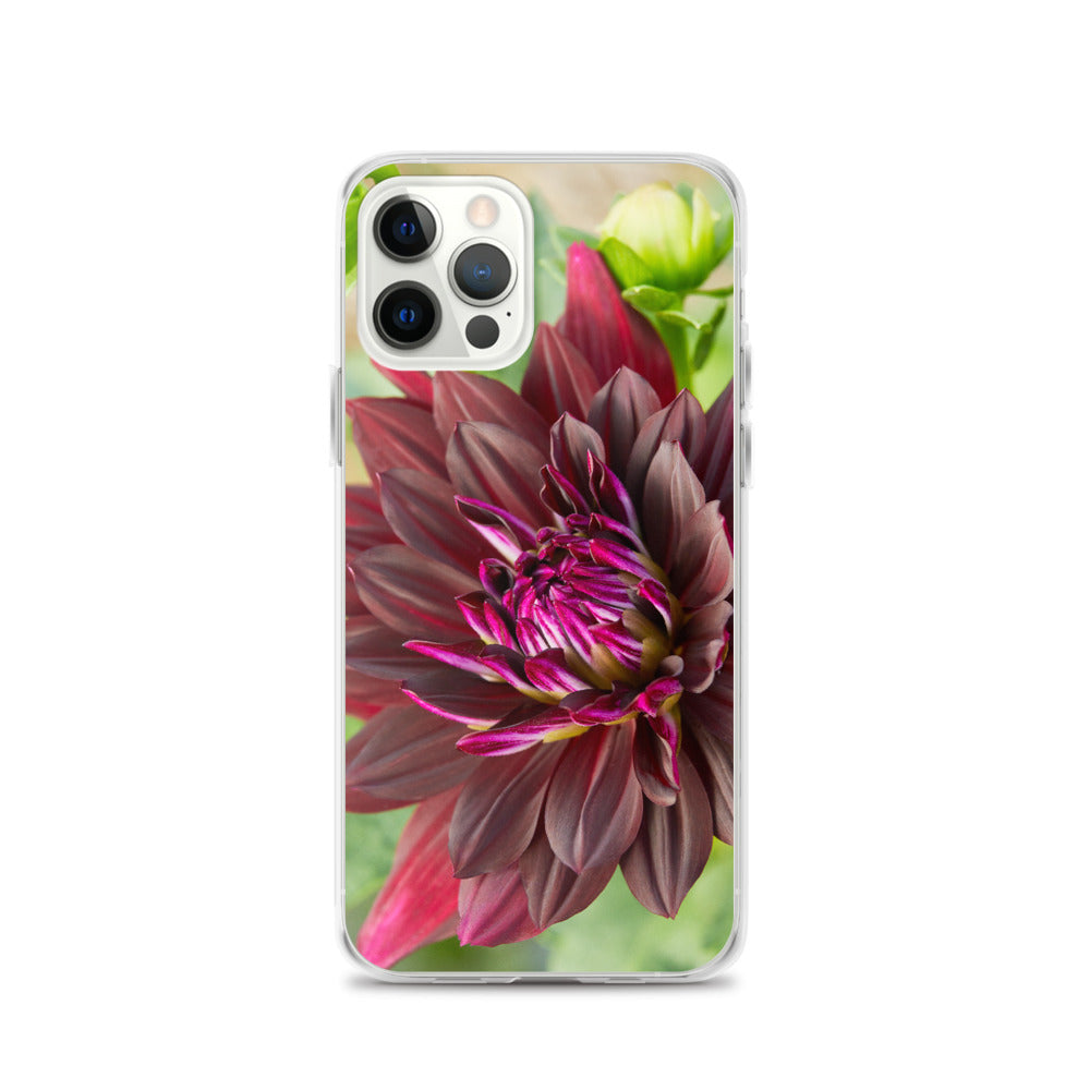 Black Dahlia iPhone Case