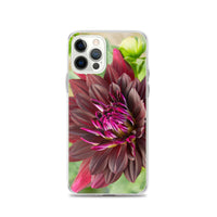 Black Dahlia iPhone Case