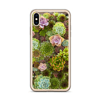 Succulent iPhone Case