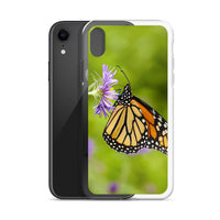 Monarch on Aster iPhone Case