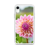 Pink Dahlia iPhone Case